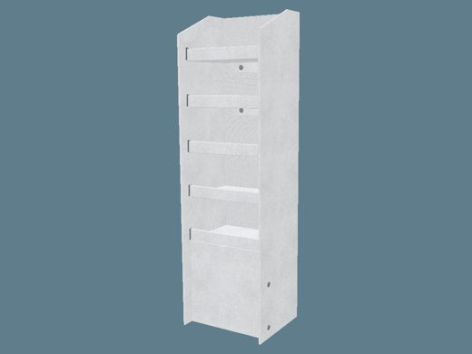 EVC62013_2 Shelf Display with Supports 3D render
