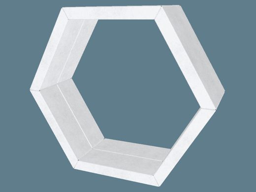 EVC62860 Two Face Hexagonal Cell Wall 3D render